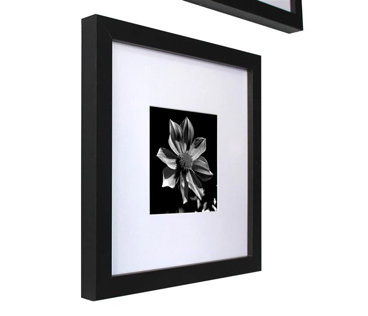 Individual Black Gallery Frame with Acid-Free Mat Detail